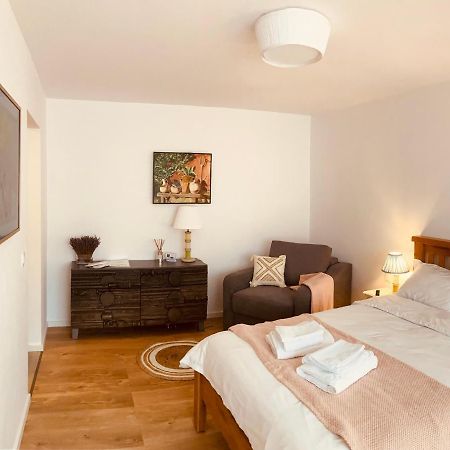 Warm And Cozy Studio Flat Near Straja Uricani  Zewnętrze zdjęcie