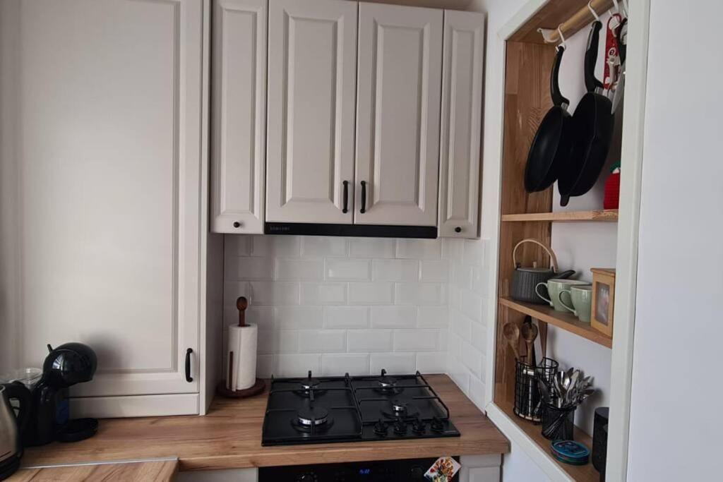 Warm And Cozy Studio Flat Near Straja Uricani  Zewnętrze zdjęcie