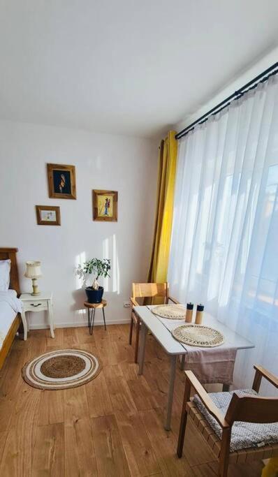Warm And Cozy Studio Flat Near Straja Uricani  Zewnętrze zdjęcie