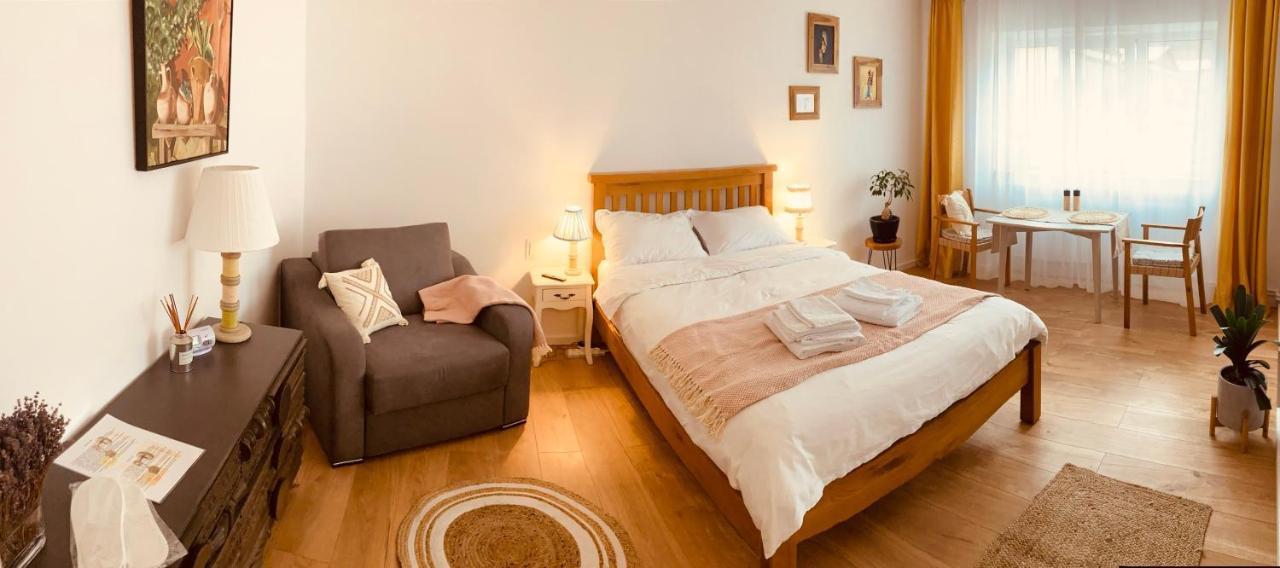 Warm And Cozy Studio Flat Near Straja Uricani  Zewnętrze zdjęcie